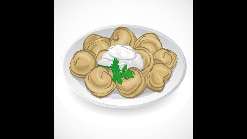 Dumplings in a plate vector