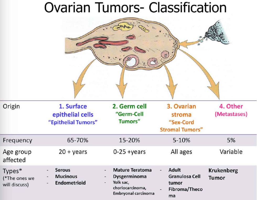 Germ Cell Tumors Classification