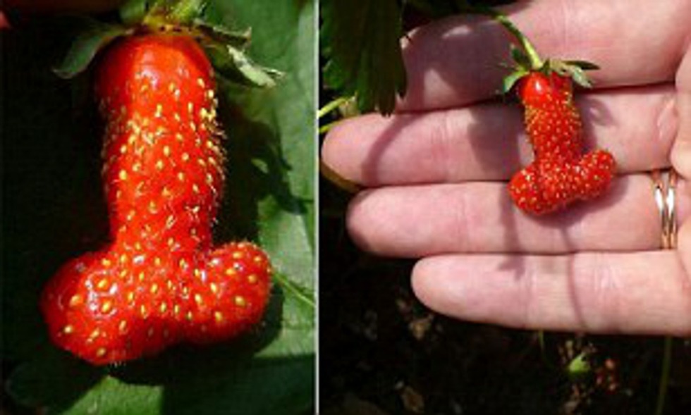 Erotic photos of girls with strawberries