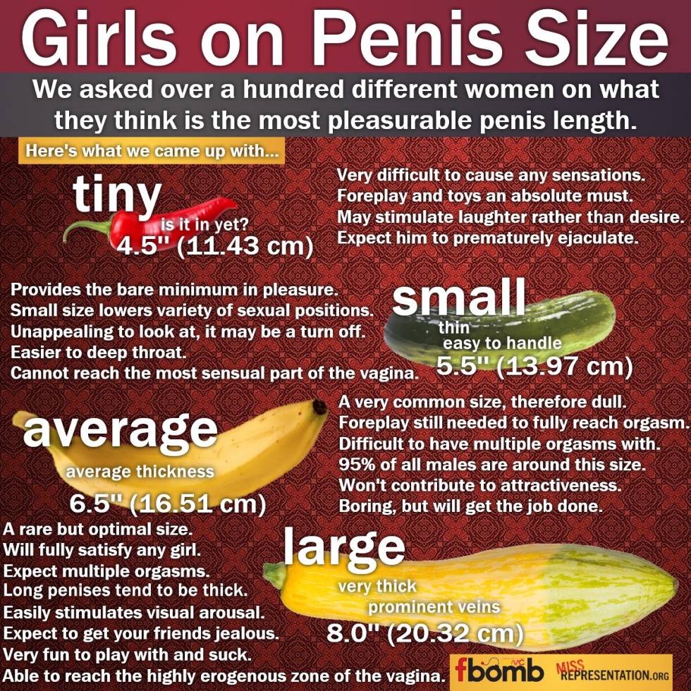 Medium -sized men's penis