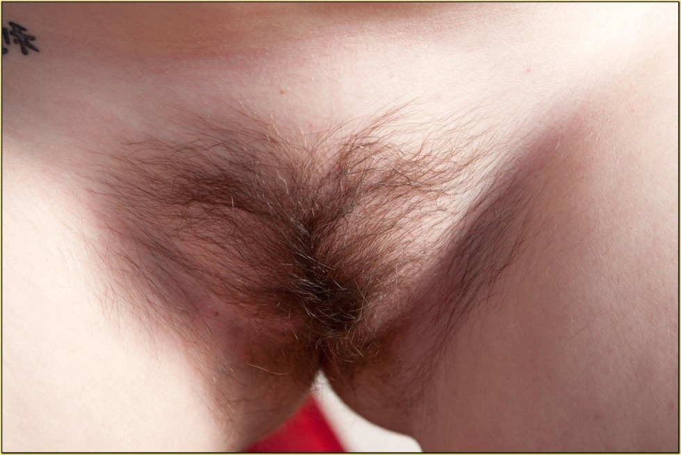 The first hair on the piser