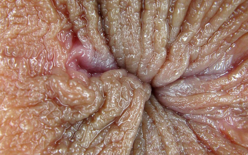 A Compilation of Pulsation Female Anus Closeup