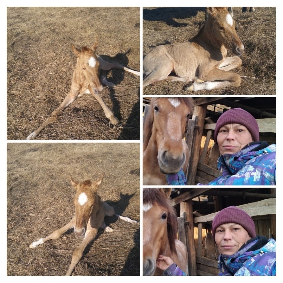 Alena Kostornaya in a swimsuit
