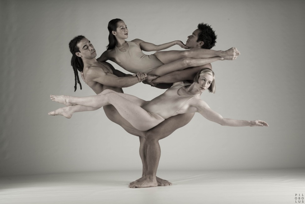 Male ballet is erotic