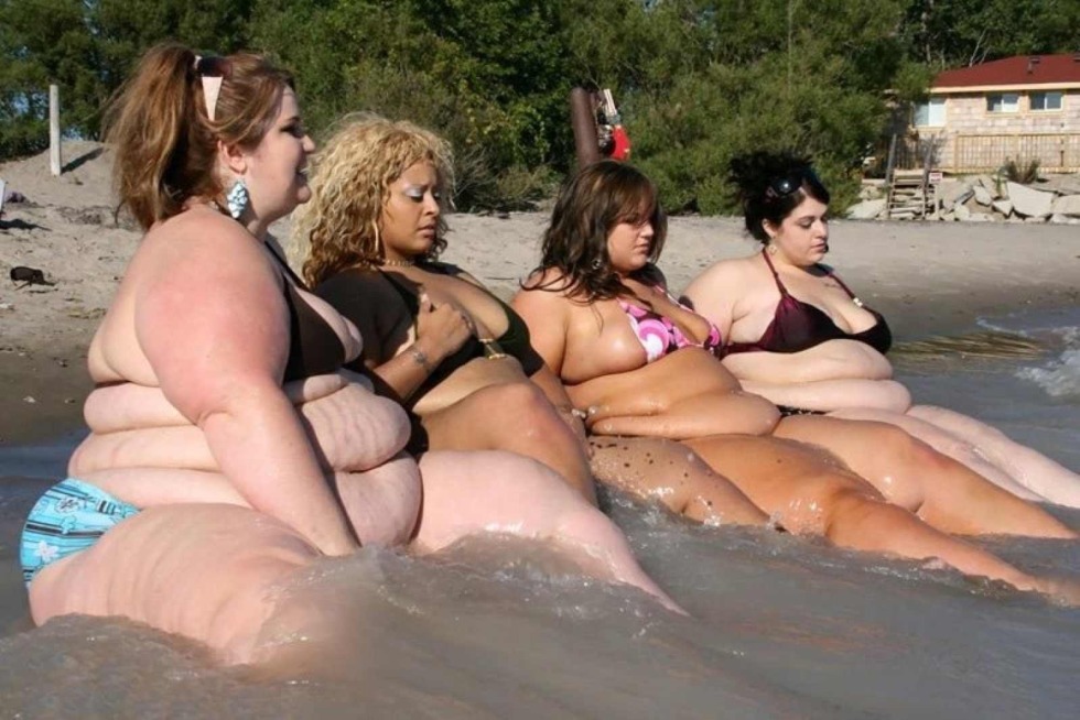 Fat on the stomach Illustration