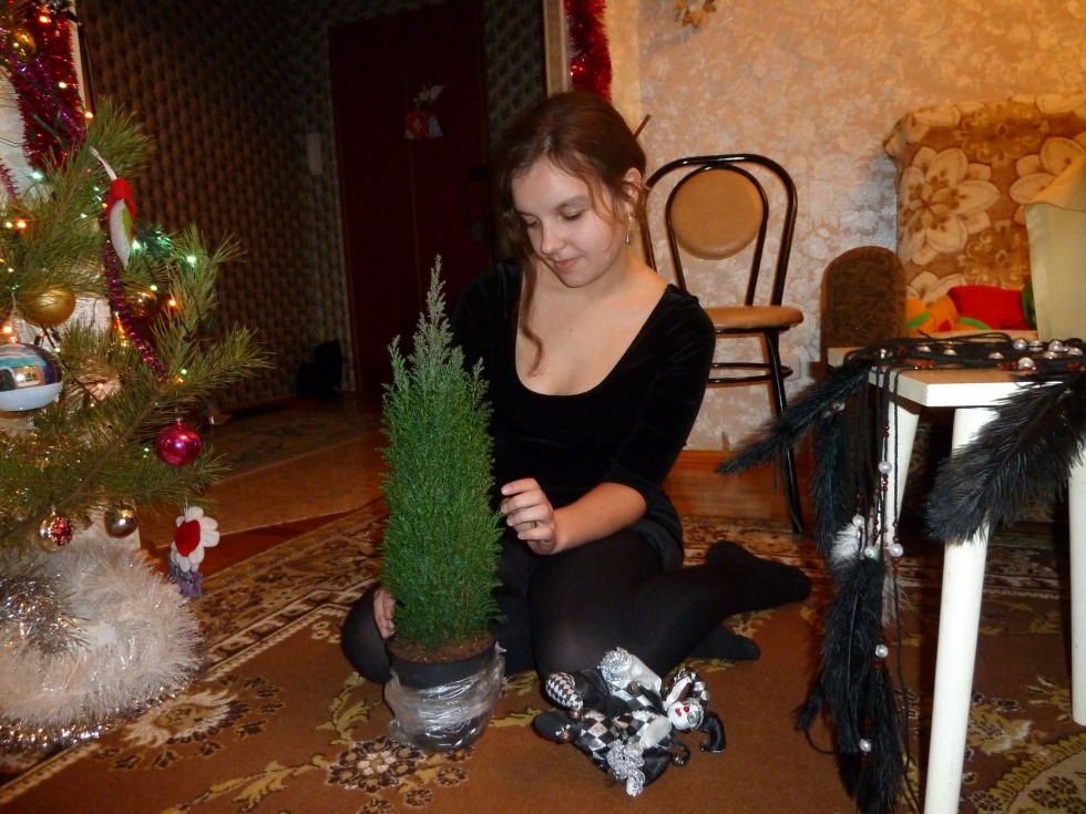 Dmitrieva Great Ustyug