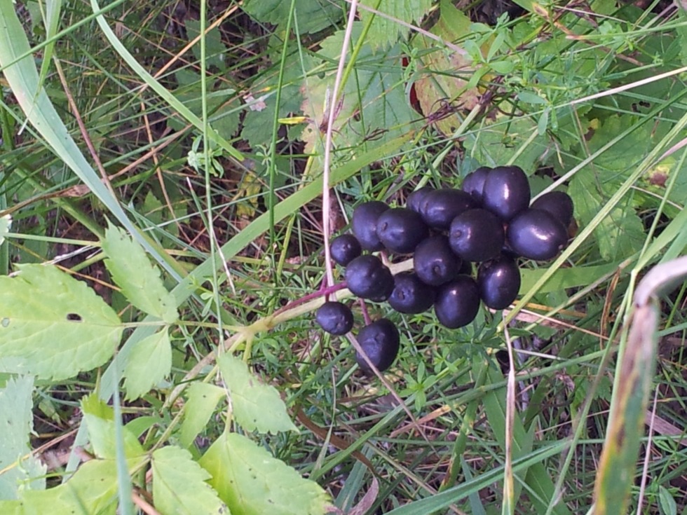 You are offended no much yes