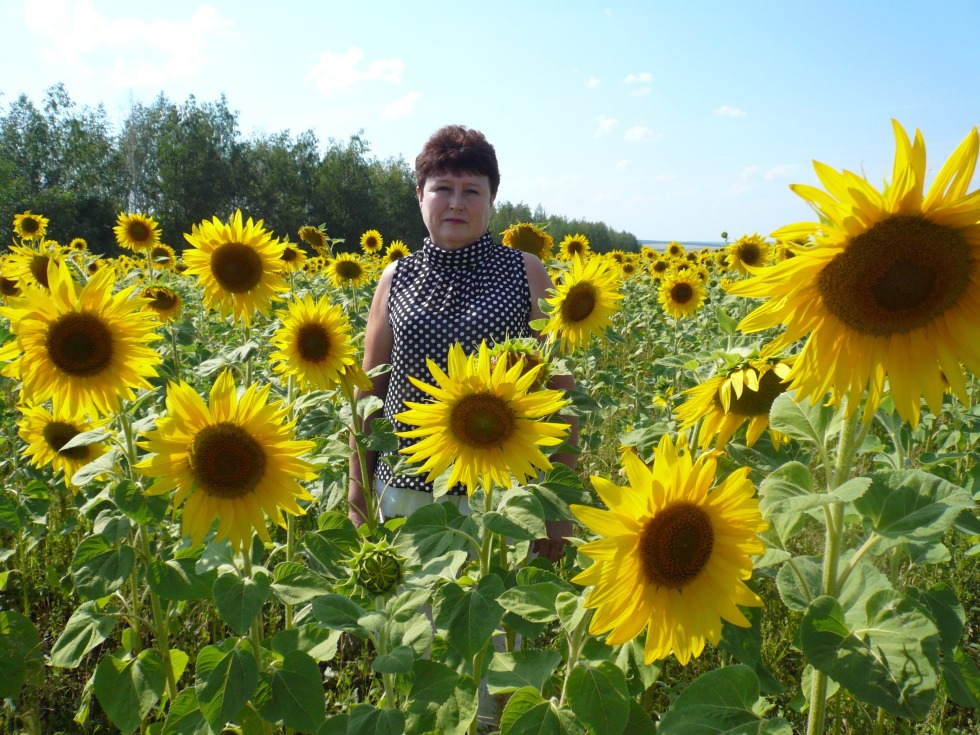 Anastasia Fomina drain