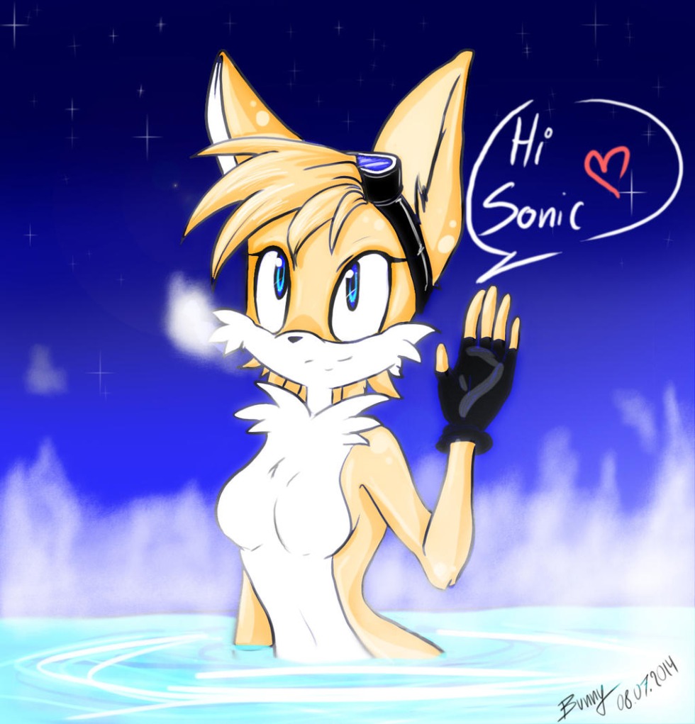 Sonic Shedou Ruzhe Silver Amy and Tiles