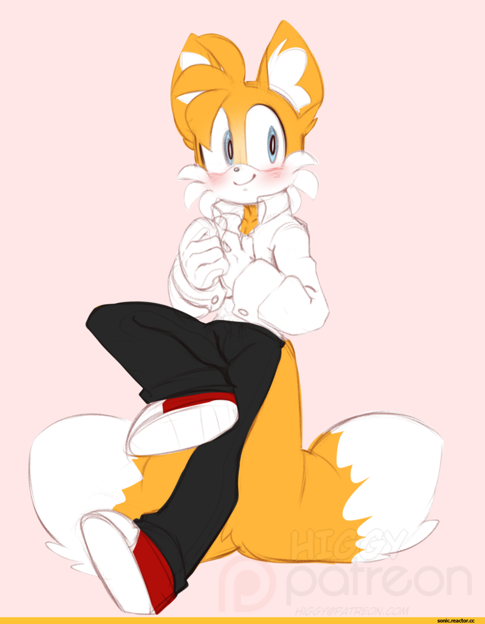 Tails Tales Mobius Unleashed