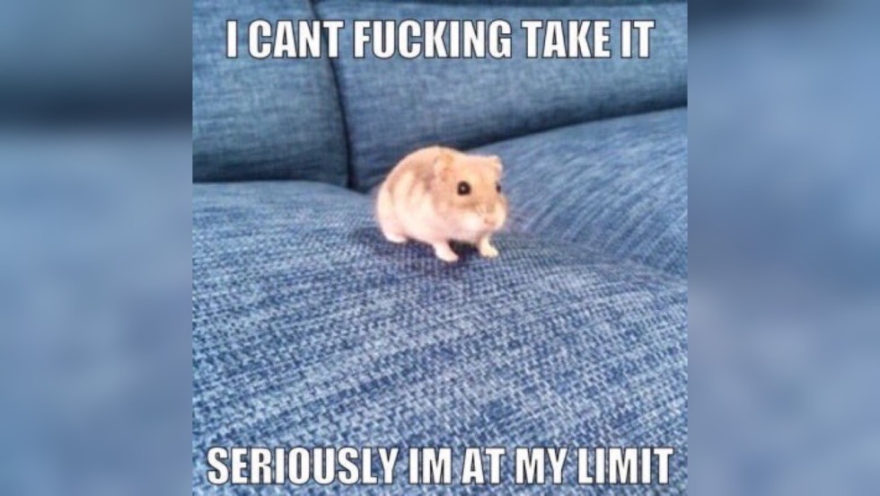 Up Shorts is private