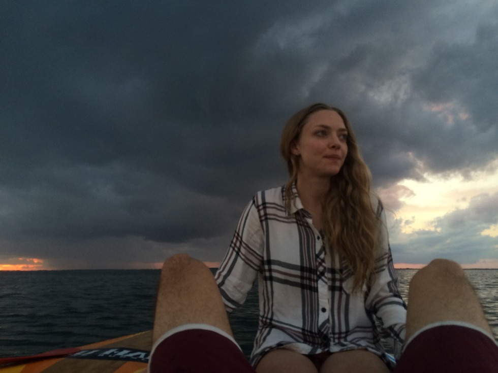 Amanda Seyfrid 18 hackers