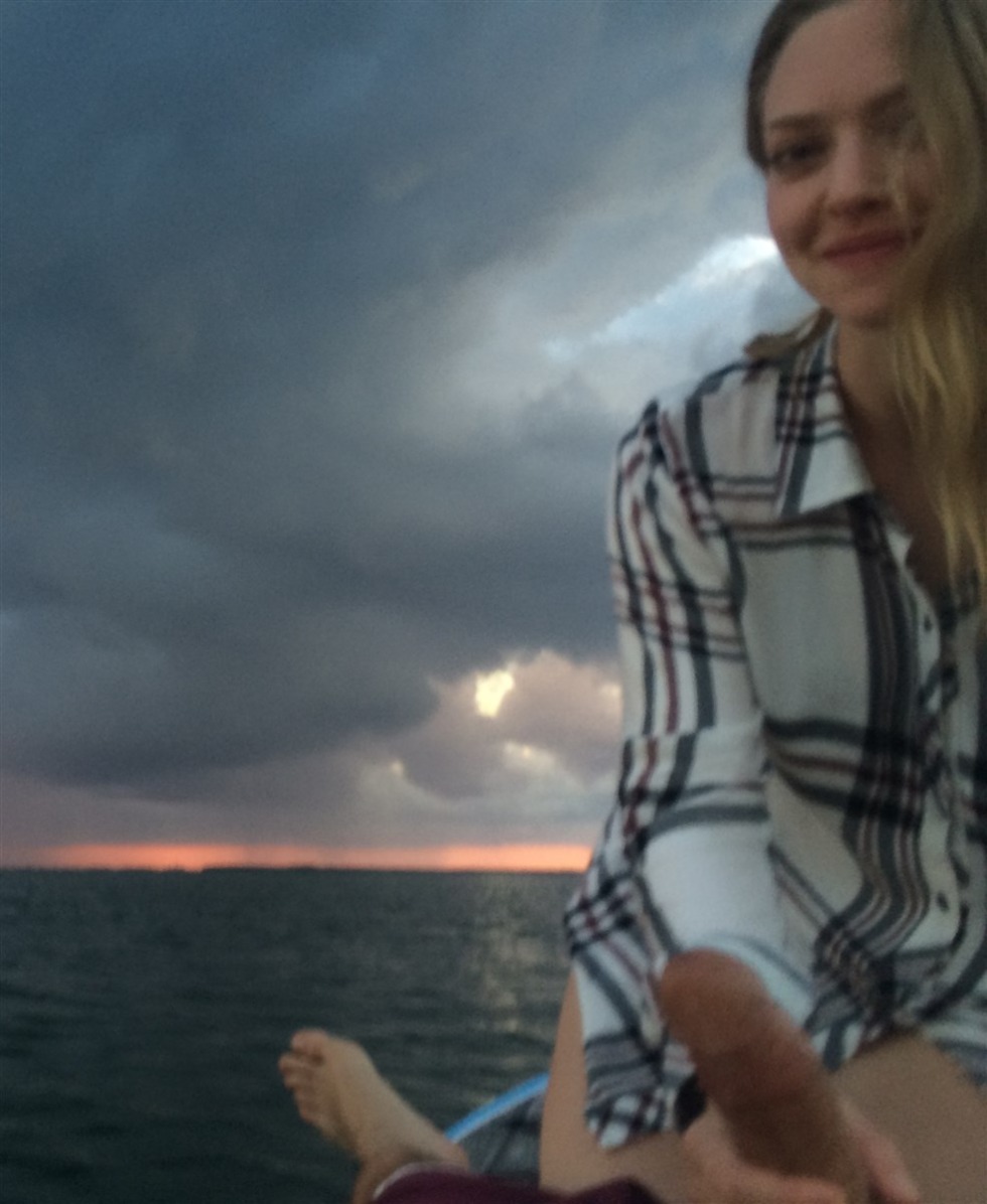 Julianna Moore Amanda Seyfrid Lesbian