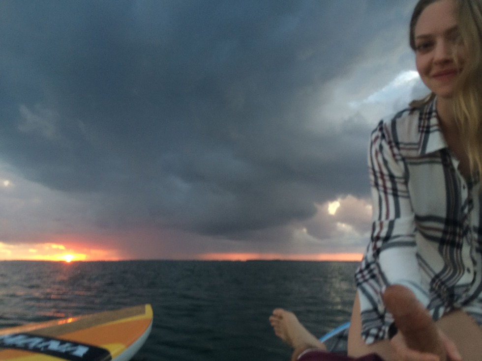 Amanda Seyfrid 18 scene in the film