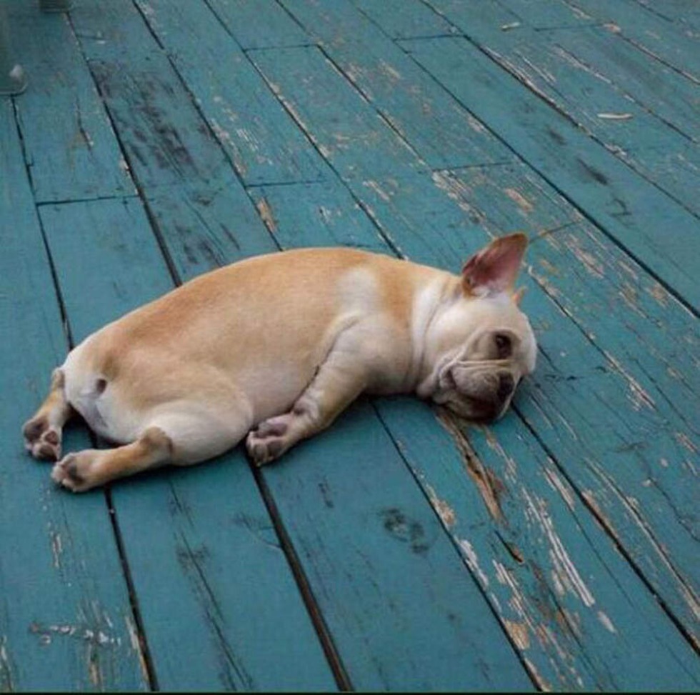 Agate Plays with Her Pubes Hairy naked