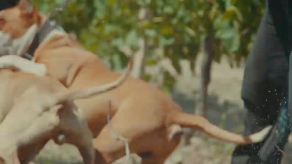 Naked wife Luhansk - 579 pics, #4 Xhamster ru