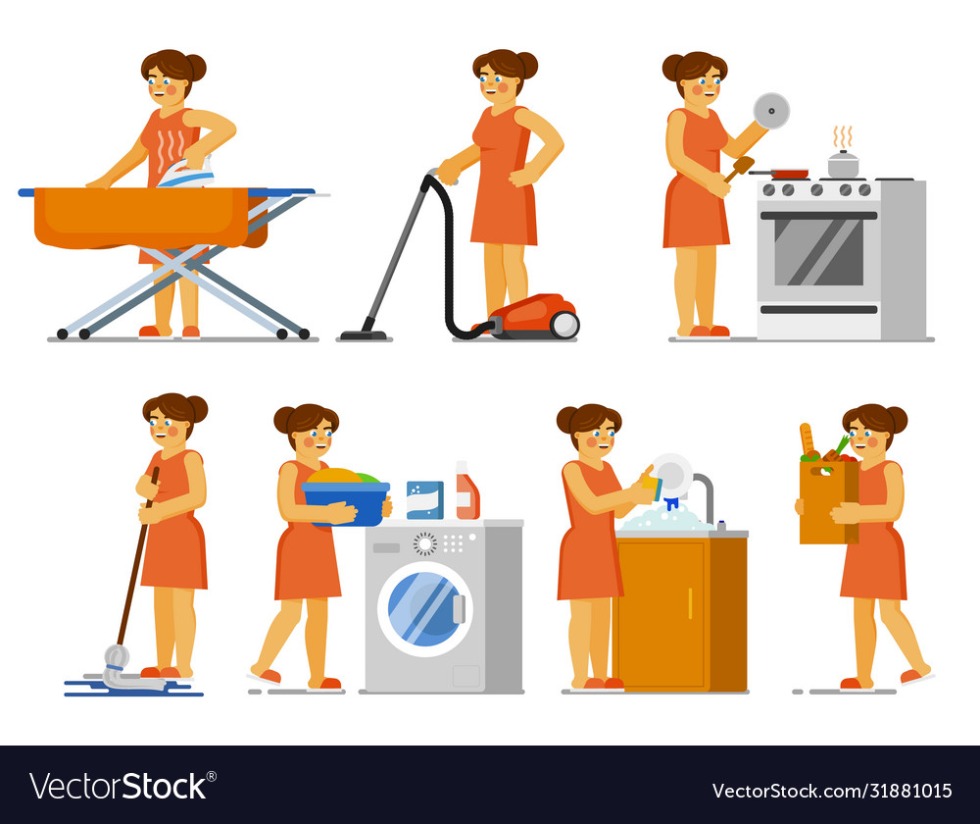 Summary of the developer