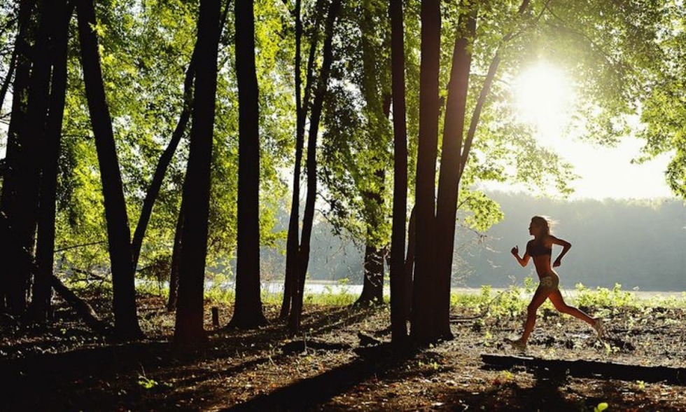 Naked in twelve forests