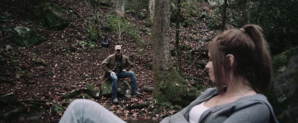 Hide in the forest film