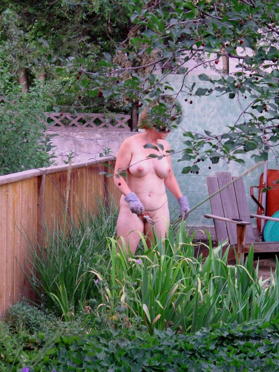 I peered behind a neighbor in the country