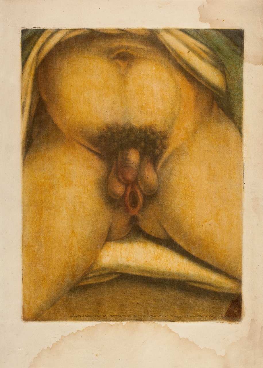 Protandric hermaphroditism