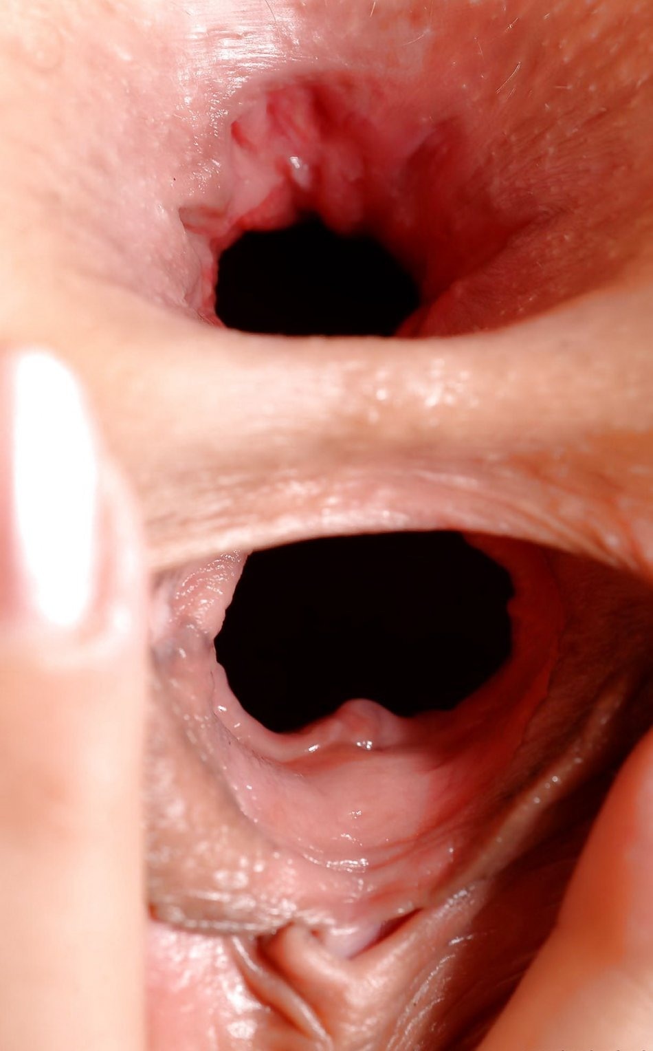 Inside the vagina close -up