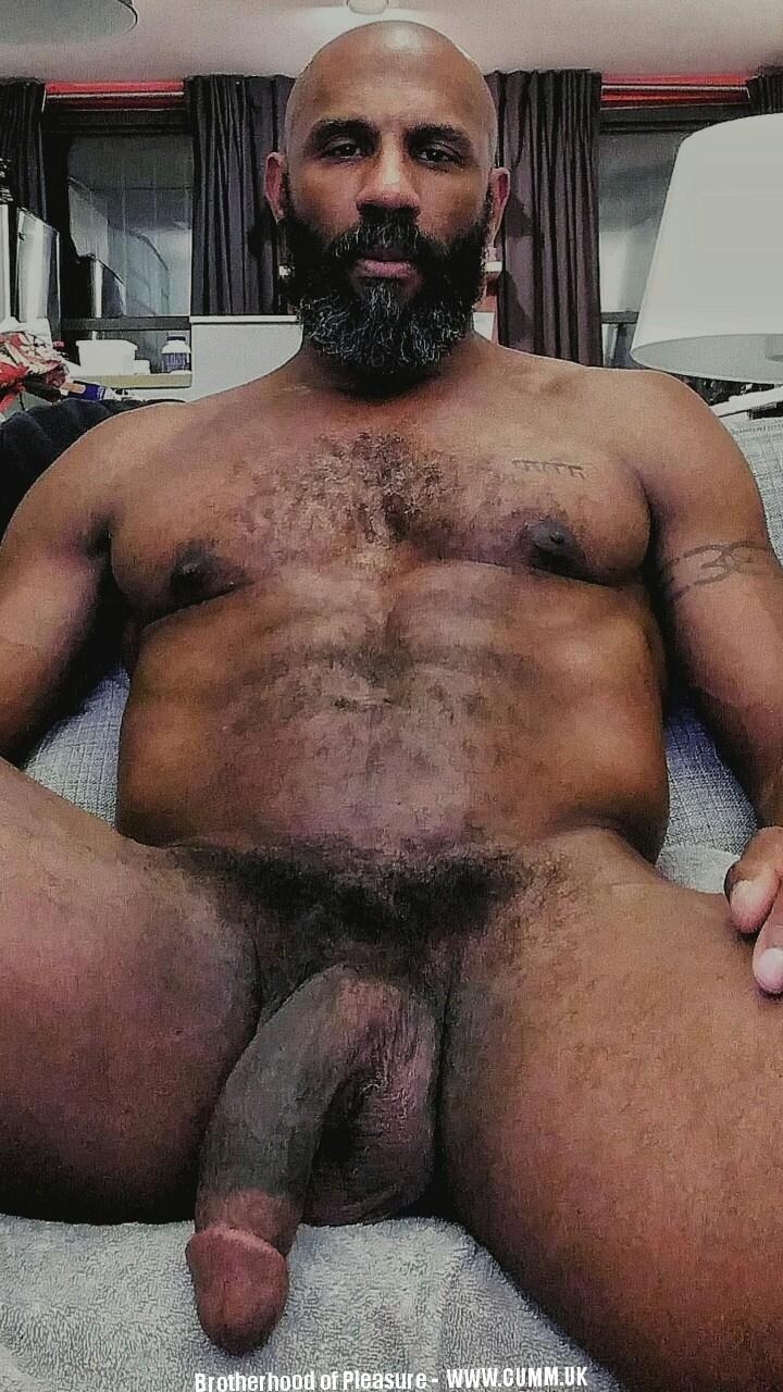 Naked hairy men with huge dicks