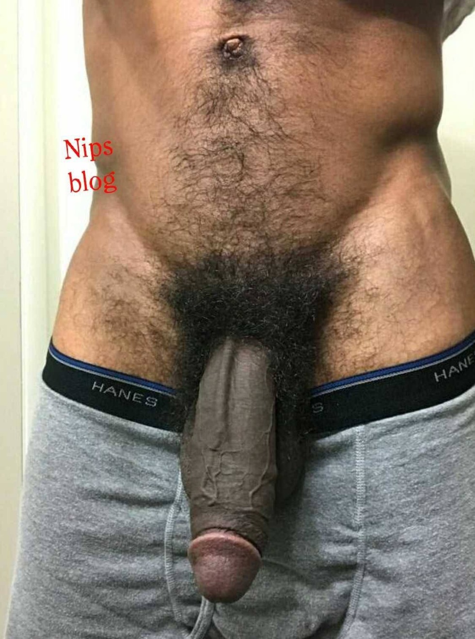 Penis in Hairy Tips