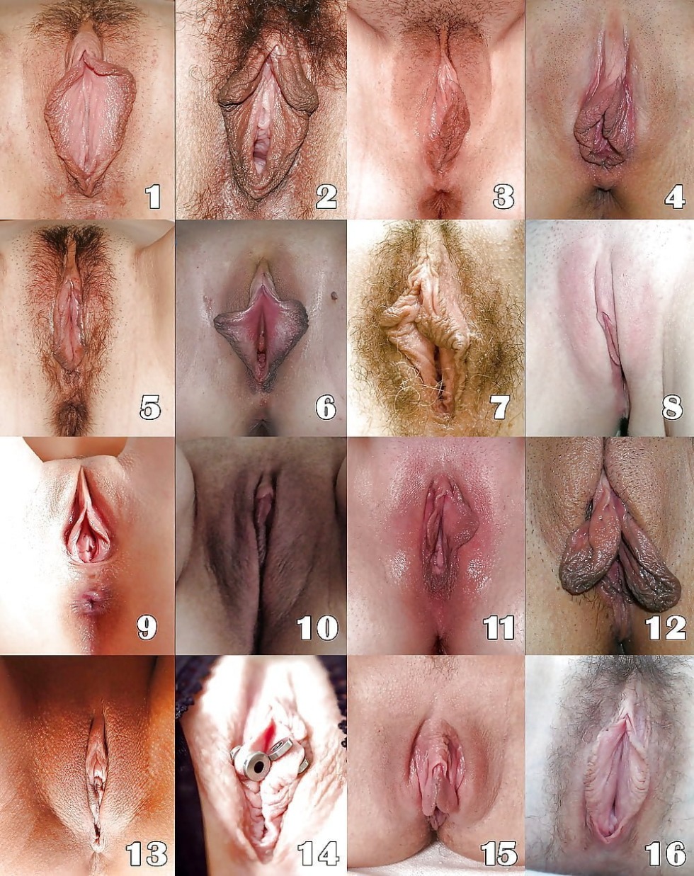 Different female vagina