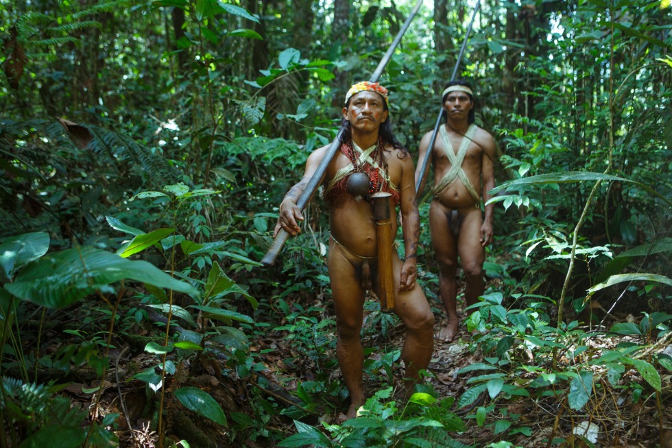 The wild tribes of the Amazon are non -contact