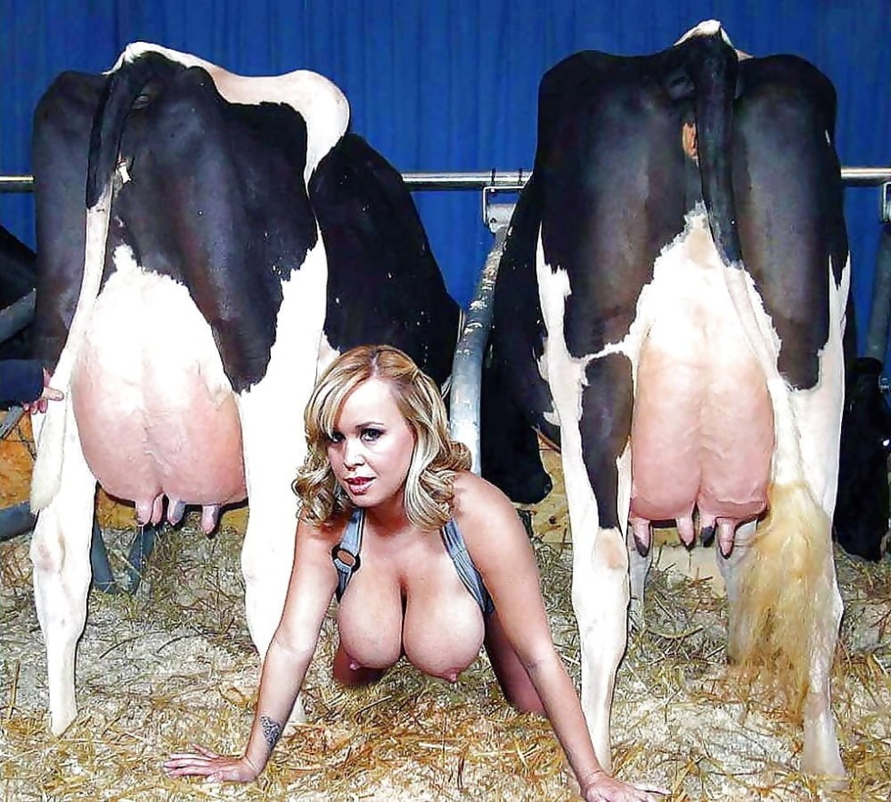 Milkmaids with big tits and cows