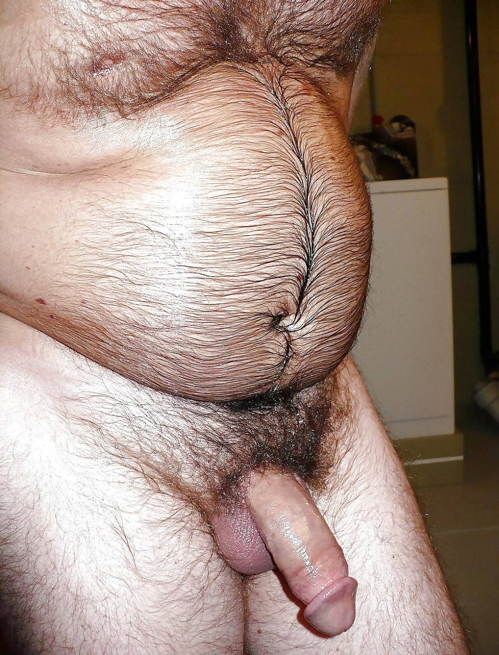 Fat hairy members of men