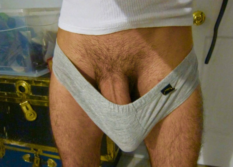 Male penis in shorts