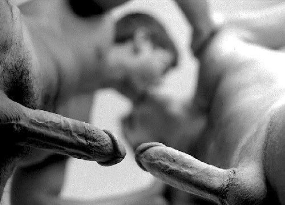 Male dick black white