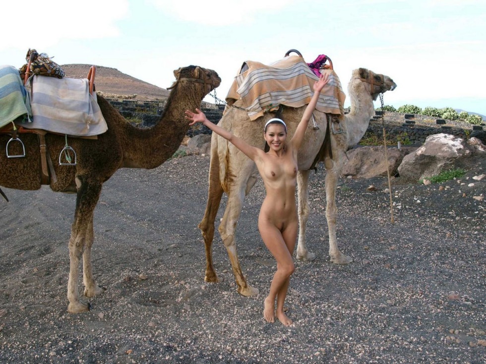 Woman camel fuck