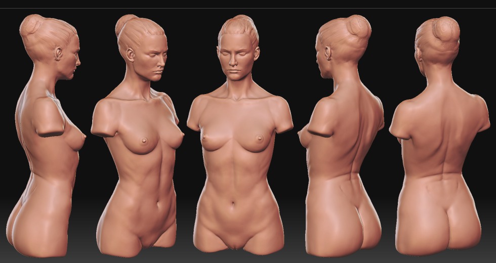 Women's bust 3D