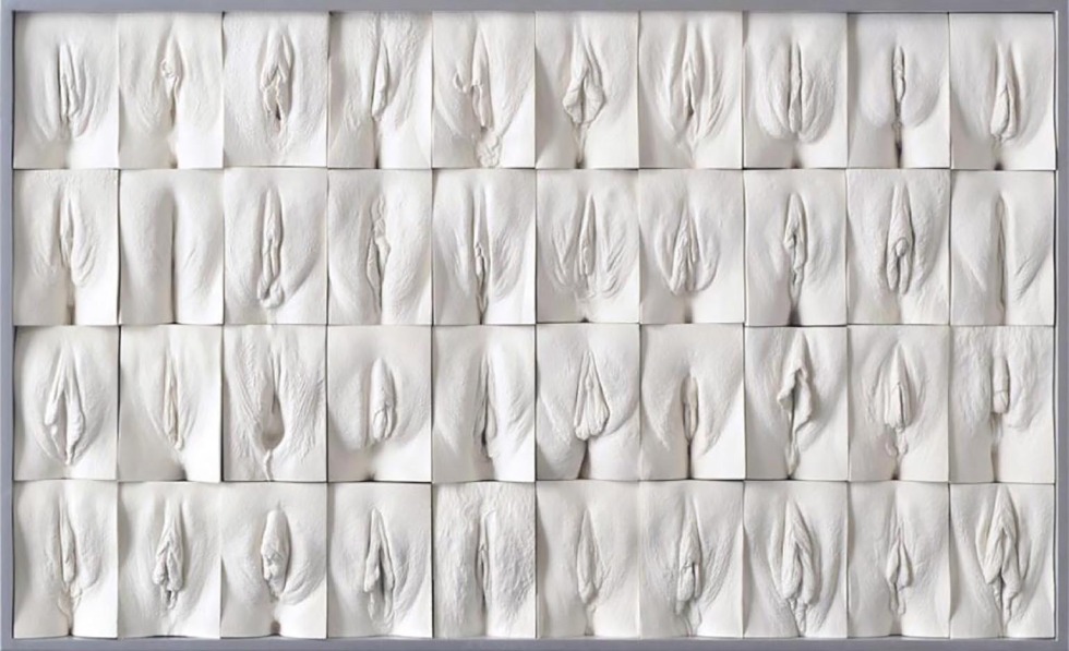 Blinks of vagini Jamie McCartney