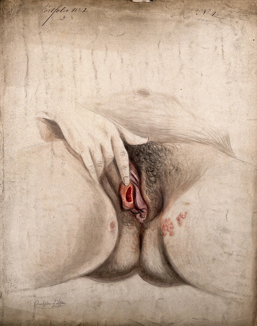 Female genital paintings