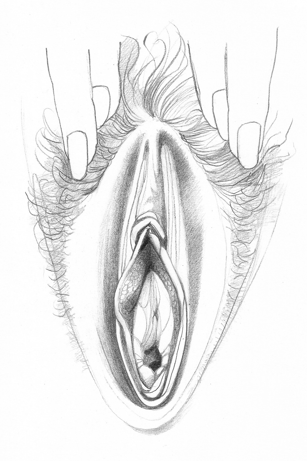 Pencil pattern of the vagina