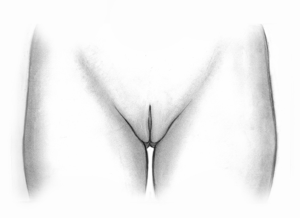 Drawing female genital