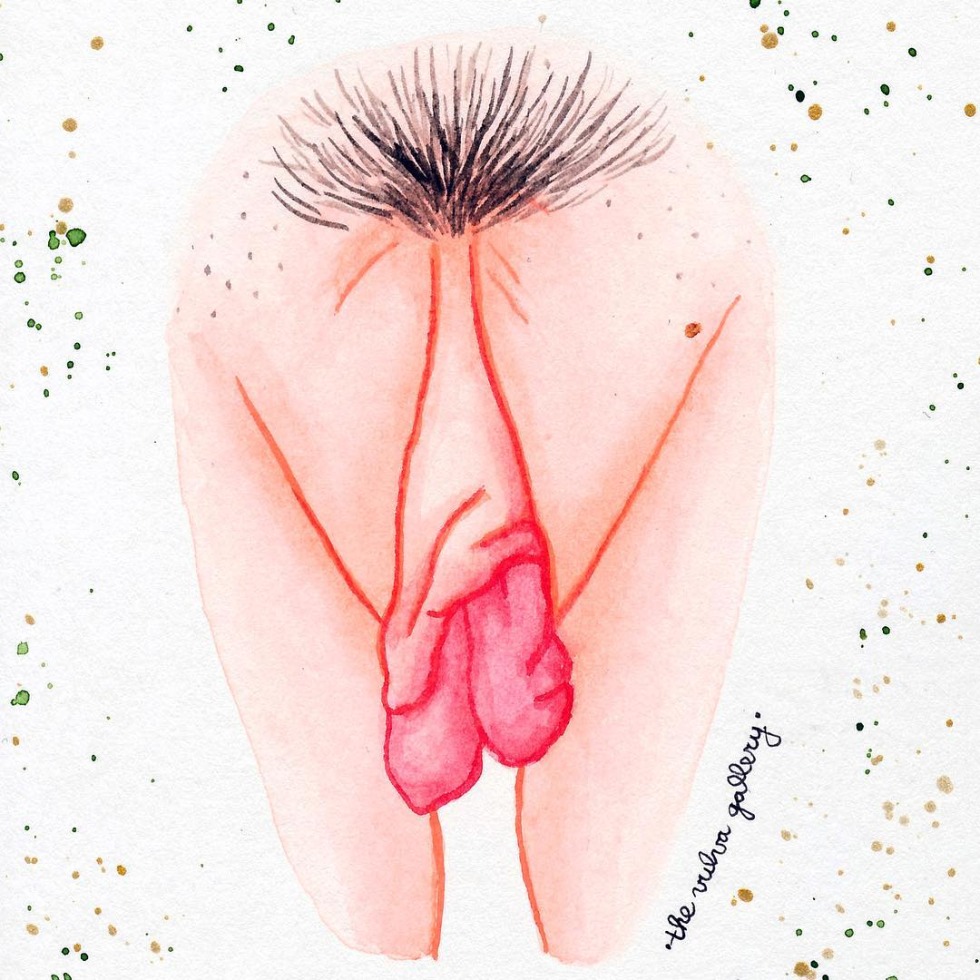 Drawings of female genitals
