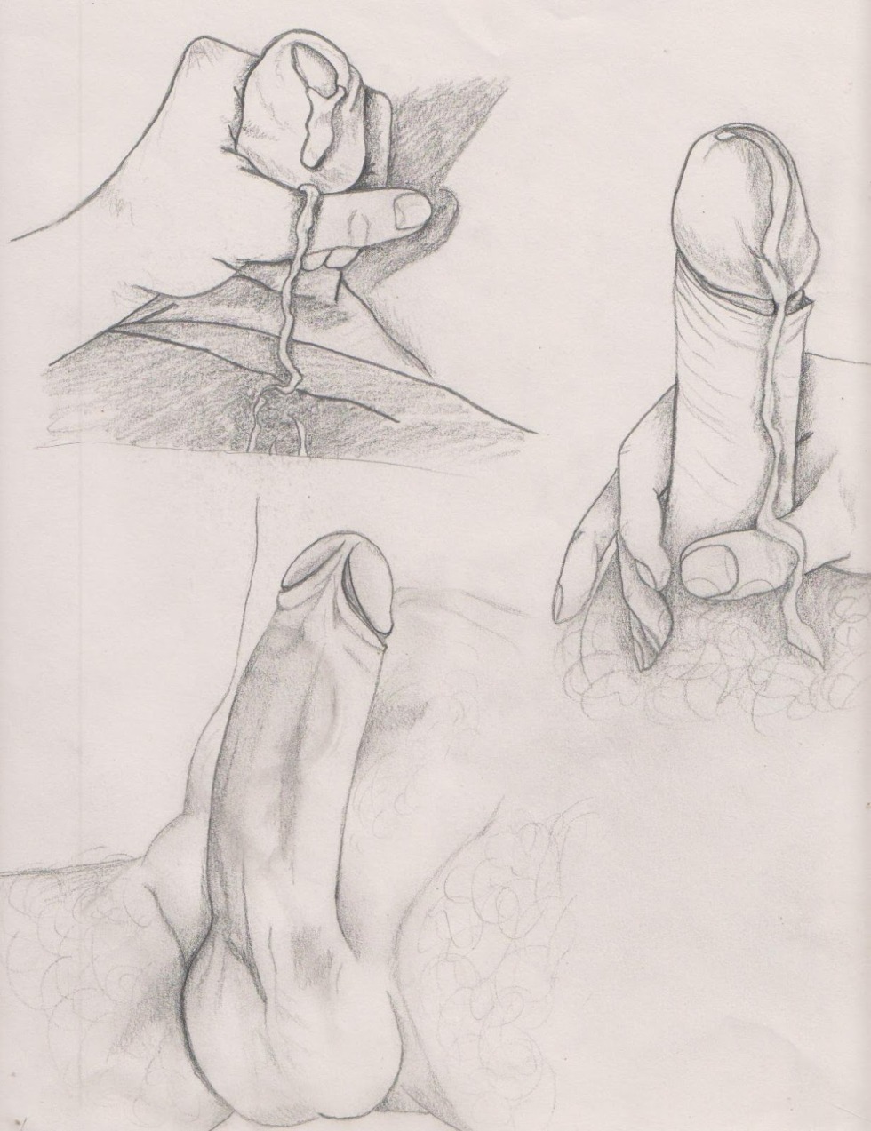 Pimaline member for drawing