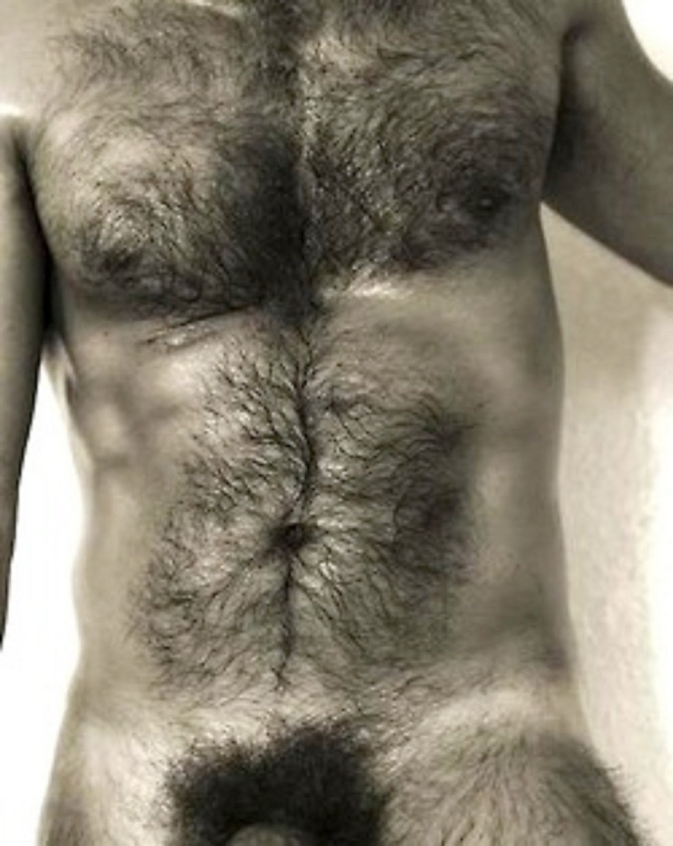 Hairy male pubis
