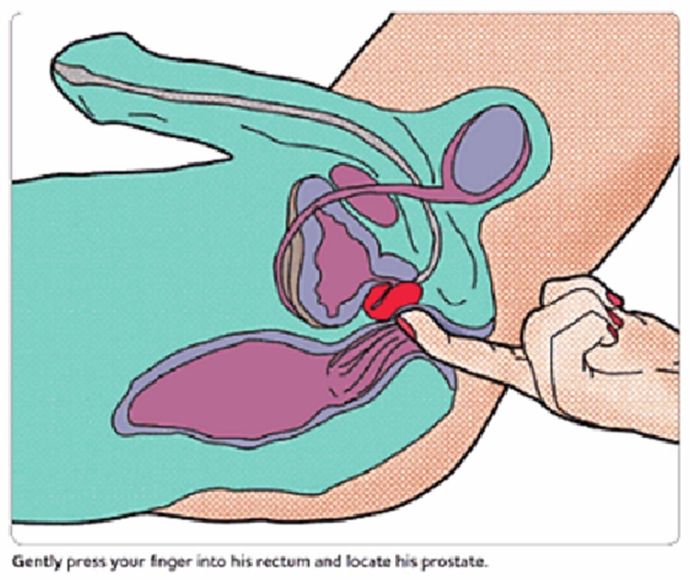 Male prostate stimulation