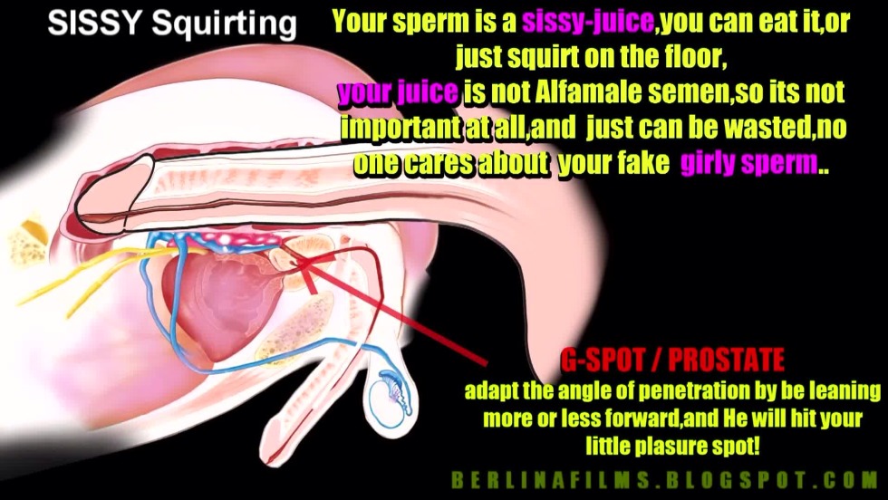 Anatomy of sexual intercourse