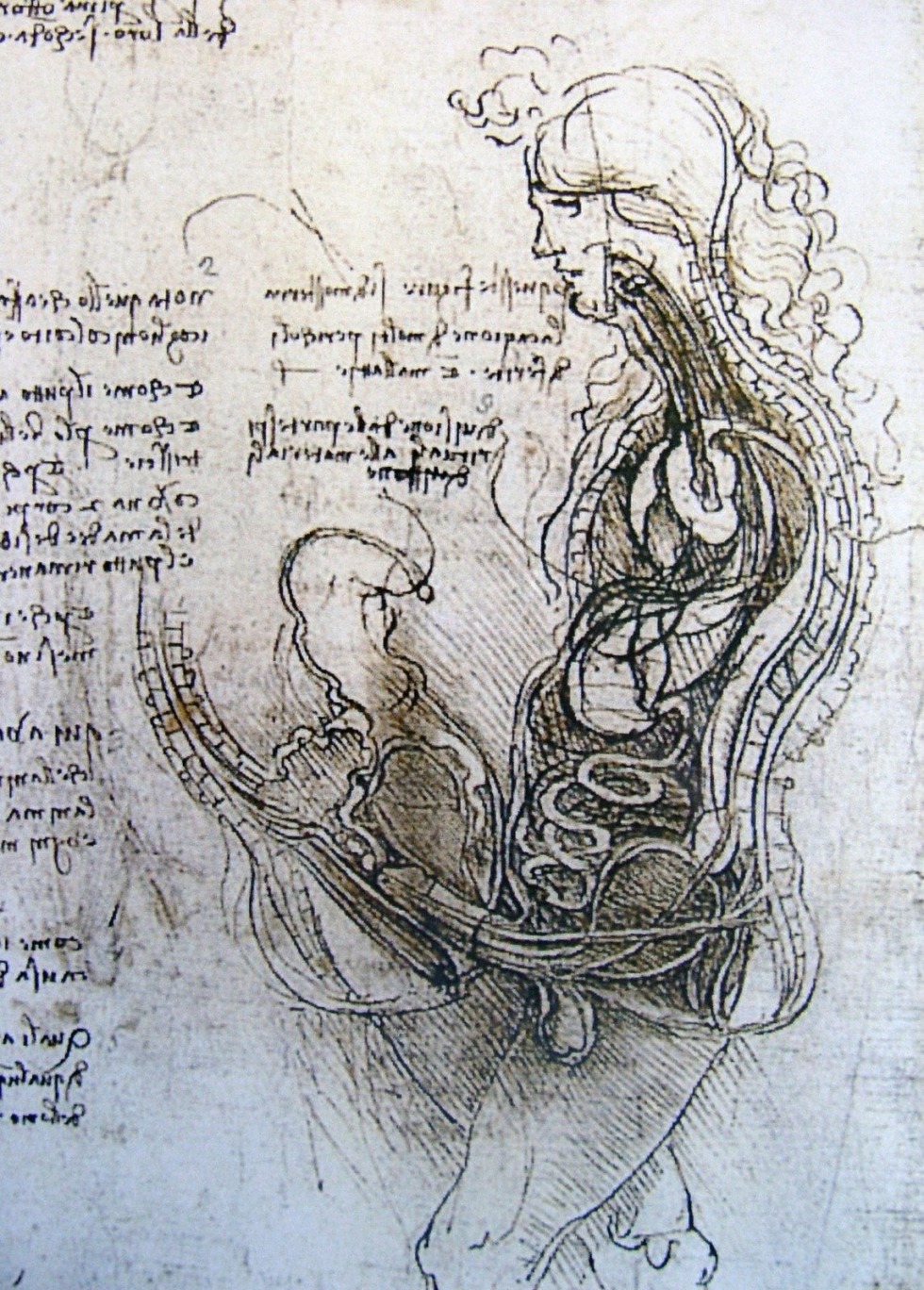 Painting Leonardo da Vinci's intercourse