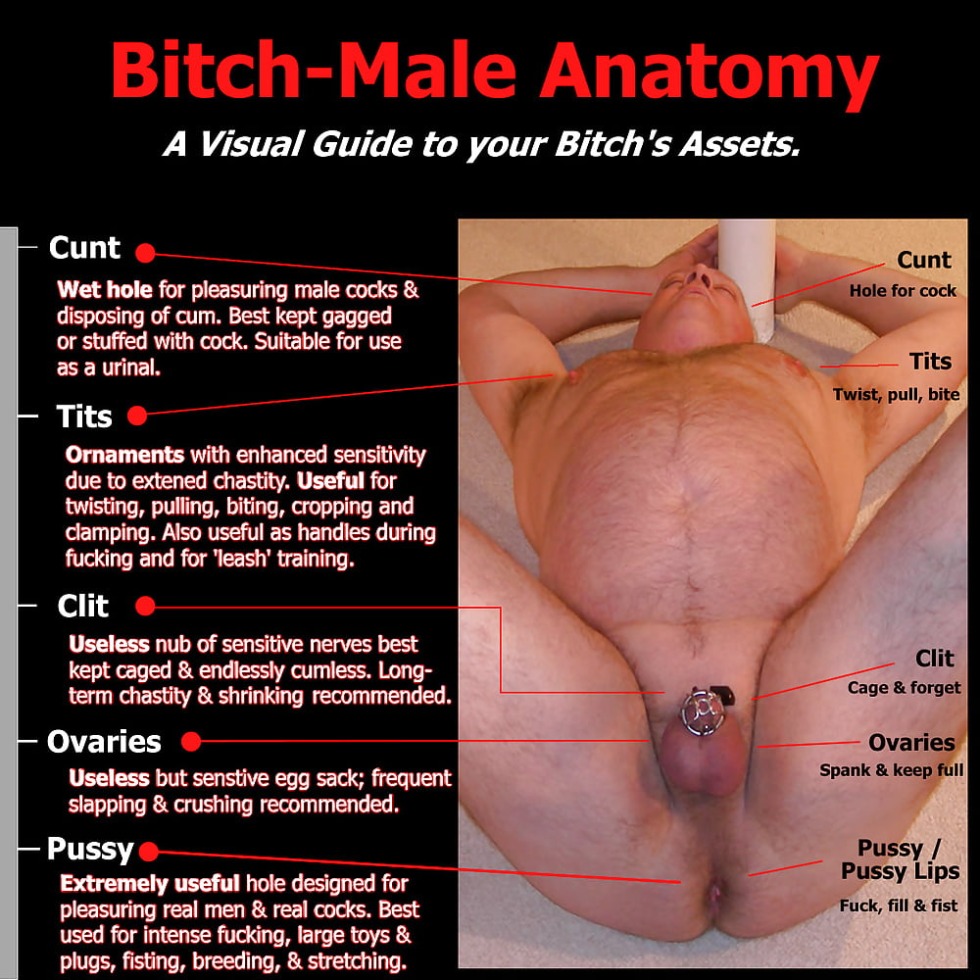 Sissy genital anatomy