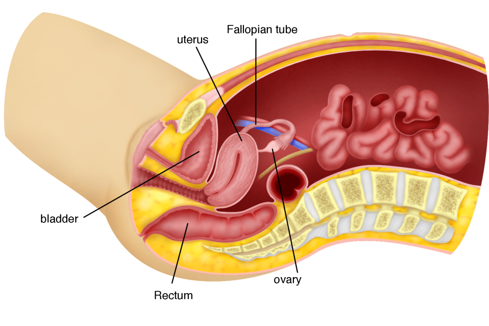 Anal sexual intercourse in the context