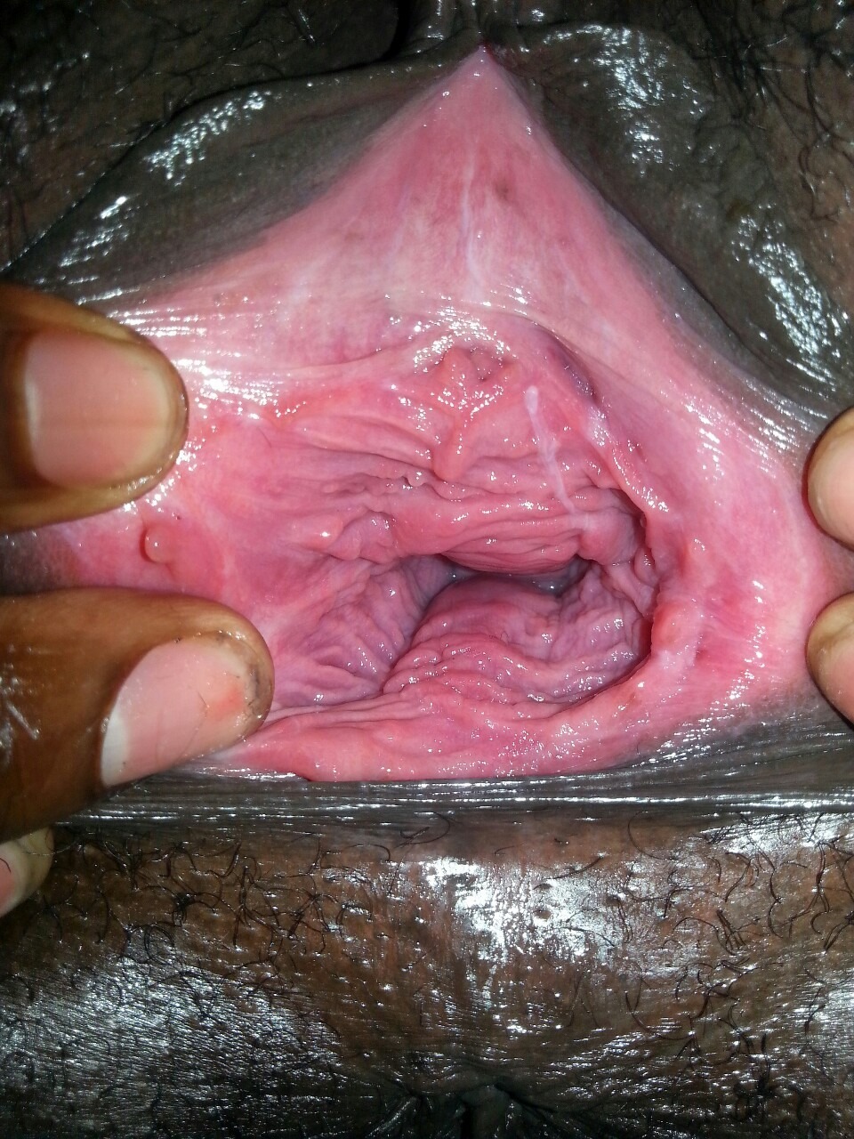 Women's vagina from the inside