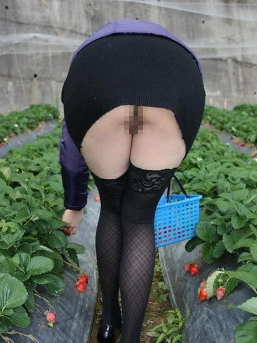 Women in pantyhose without panties